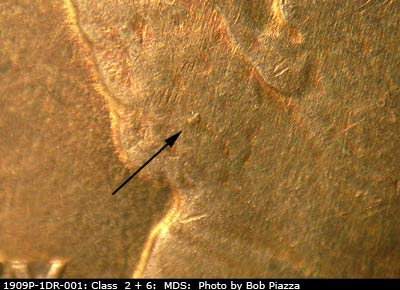 Die-stage B marker on 1909P•1DR•001 showing Die chip SW of ear, in hair.