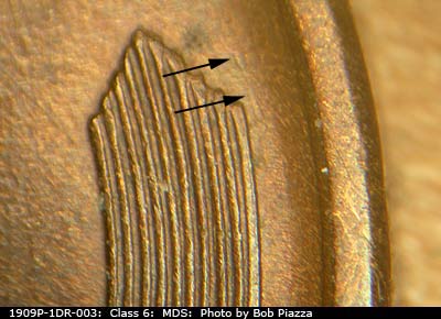 Die-stage B marker on 1909P•1DR•003 showing NNW die scratch near right wheat tip.