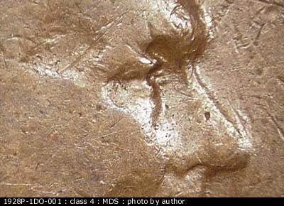 1928 Lincoln cent obverse, CopperCoins die 1928P•1DO•001.