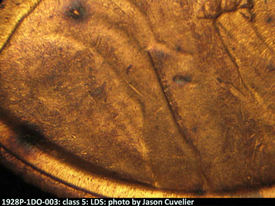 Die-stage C marker on 1928P•1DO•003 (1928 Doubled Die Obverse).