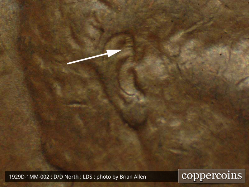 Die-stage C marker on 1929D•1MM•002 (1929 Repunched Mint Mark).