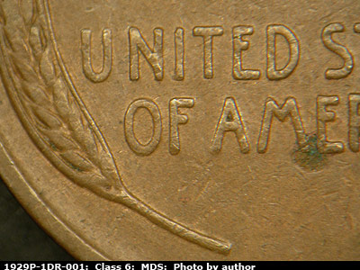 Die-stage B marker on 1929P•1DR•001 (1929 Doubled Die Reverse).