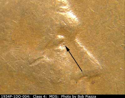 1934 Lincoln cent obverse, CopperCoins die 1934P•1DO•004.