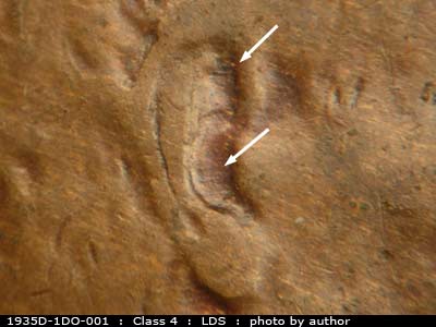 Die-stage C marker on 1935D•1DO•001 (1935 Doubled Die Obverse).