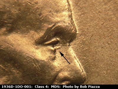 1936 Lincoln cent obverse, CopperCoins die 1936D•1DO•001.