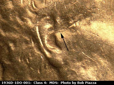 Die-stage B marker on 1936D•1DO•001 (1936 Doubled Die Obverse).