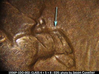 Die-stage A marker on 1936P•1DO•002 (1936 Doubled Die Obverse).