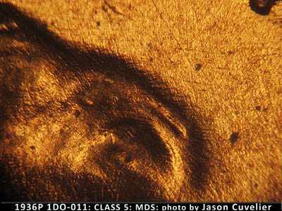 Die-stage B marker on 1936P•1DO•011 (1936 Doubled Die Obverse).