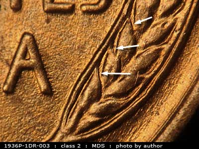Die-stage B marker on 1936P•1DR•003 (1936 Doubled Die Reverse).