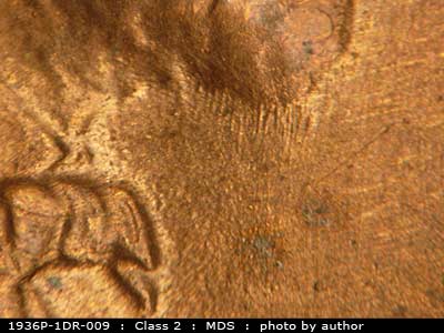 Die-stage B marker on 1936P•1DR•009 (1936 Doubled Die Reverse).