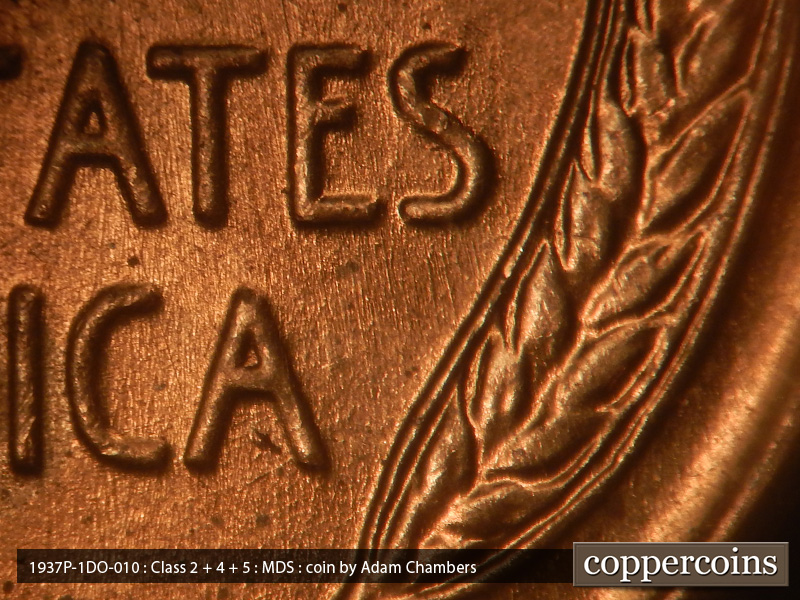 Die-stage B marker on 1937P•1DO•010 (1937 Doubled Die Obverse).