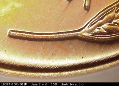 Die-stage A marker on 1937P•1DR•001P showing Strong Doubling carries over to the lower part of the design. This is the lower right wheat.