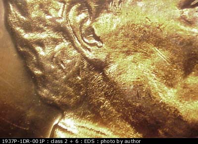 Die-stage A marker on 1937P•1DR•001P showing Mostly concentric die scratches run throughout the jaw and ear area.