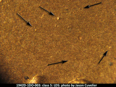 Die-stage C marker on 1942D•1DO•003 (1942 Doubled Die Obverse).
