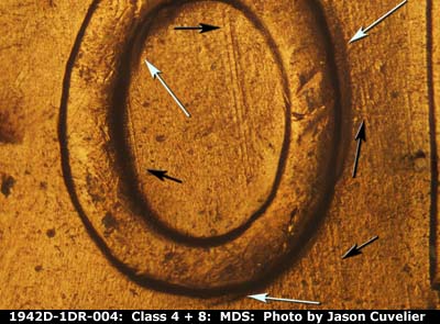 1942 Lincoln cent obverse, CopperCoins die 1942D•1DR•004.