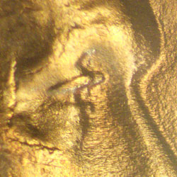 Pre-attribution image for 1942P•1DO•008