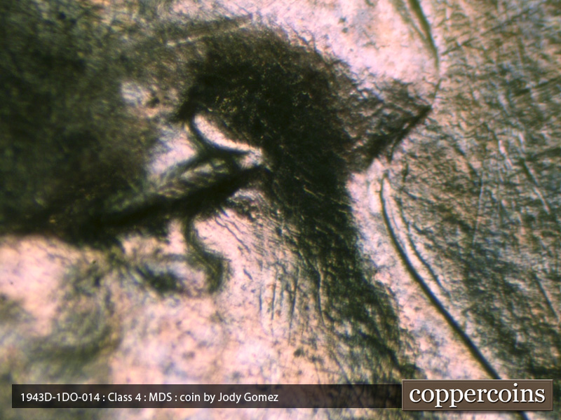 1943 Lincoln cent obverse, CopperCoins die 1943D•1DO•014.