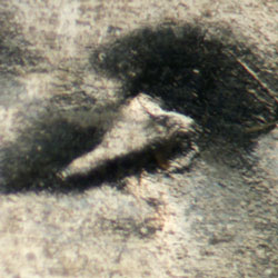 Pre-attribution image for 1943D•1DO•020