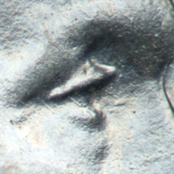 Pre-attribution image for 1943D•1DO•022