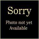 Pre-attribution image for 1943D•1MM•013
