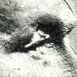 Pre-attribution image for 1943P•1DO•008