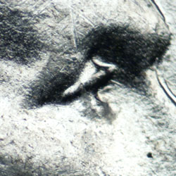 Pre-attribution image for 1943P•1DO•019
