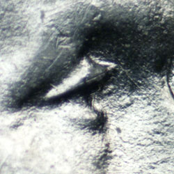 Pre-attribution photo for 1943P•1DO•020