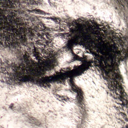 Pre-attribution image for 1943P•1DO•027