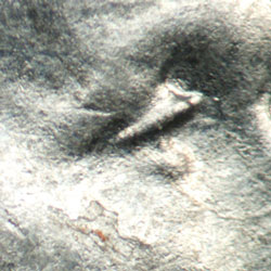 Pre-attribution photo for 1943P•1DO•030