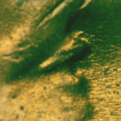 Pre-attribution image for 1944D•1DO•019