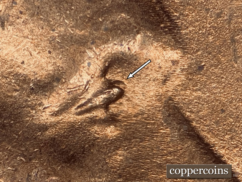 1944 Lincoln cent obverse, CopperCoins die 1944D•1DO•020.