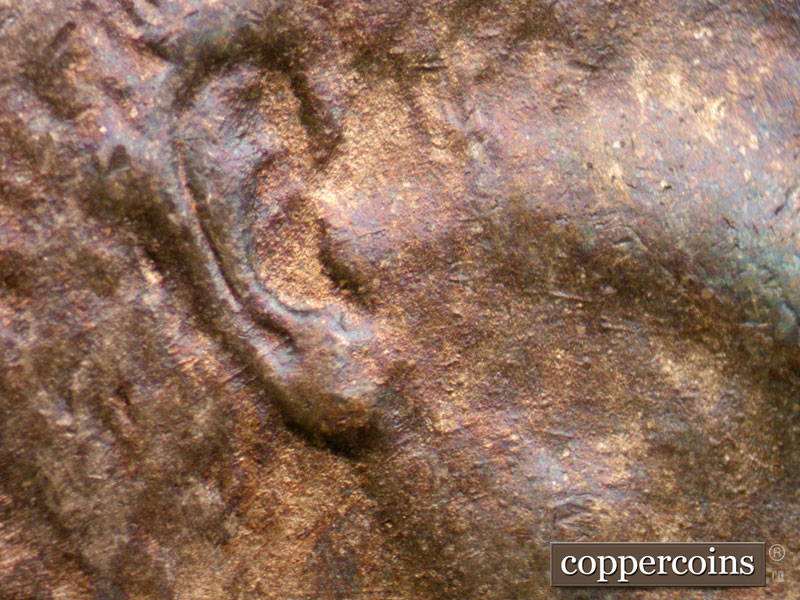 Die-stage A marker on 1944D•1OM•002 showing Concentric die scratches through ear.