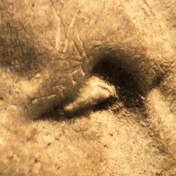 Pre-attribution image for 1944P•1DO•011