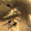 Pre-attribution image for 1944P•1DO•013