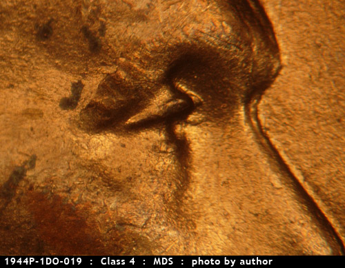 1944 Lincoln cent obverse, CopperCoins die 1944P•1DO•019.