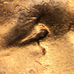 Pre-attribution image for 1944P•1DO•030