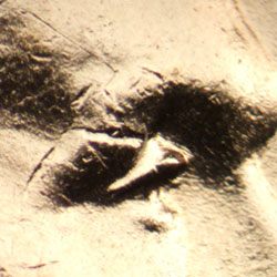 Pre-attribution image for 1944P•1DO•032