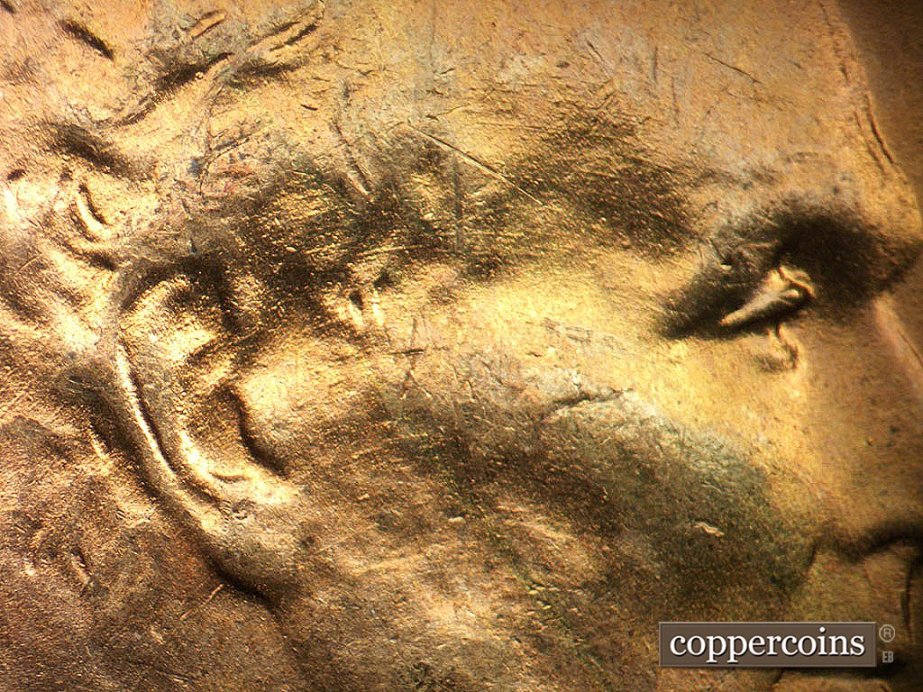 Die-stage B marker on 1944P•1DO•038 showing Concentric die scratches in temple and ear.