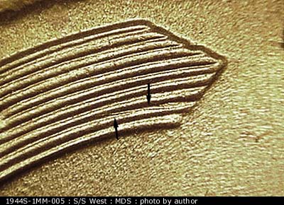 Die-stage B marker on 1944S•1MM•005 (1944 Repunched Mint Mark).