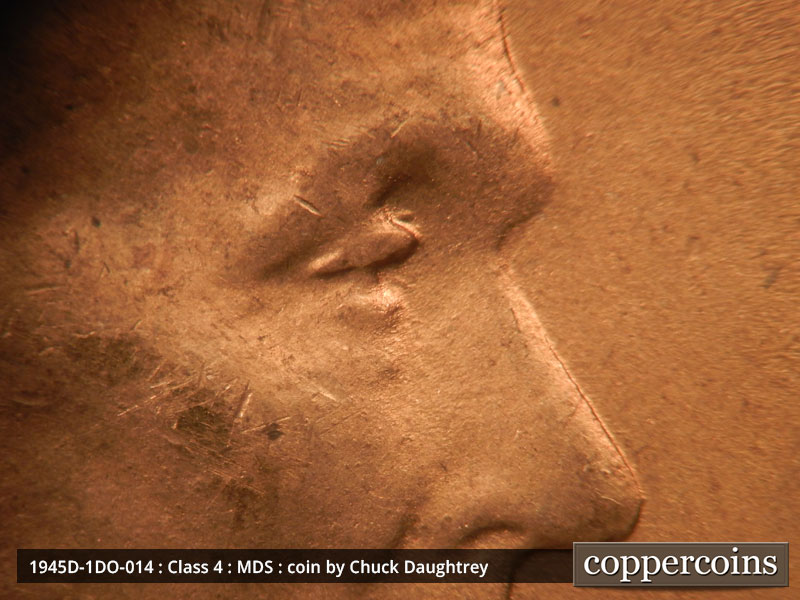 1945 Lincoln cent obverse, CopperCoins die 1945D•1DO•014.