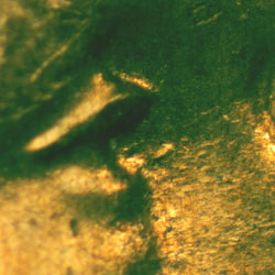 Pre-attribution image for 1945D•1DO•015