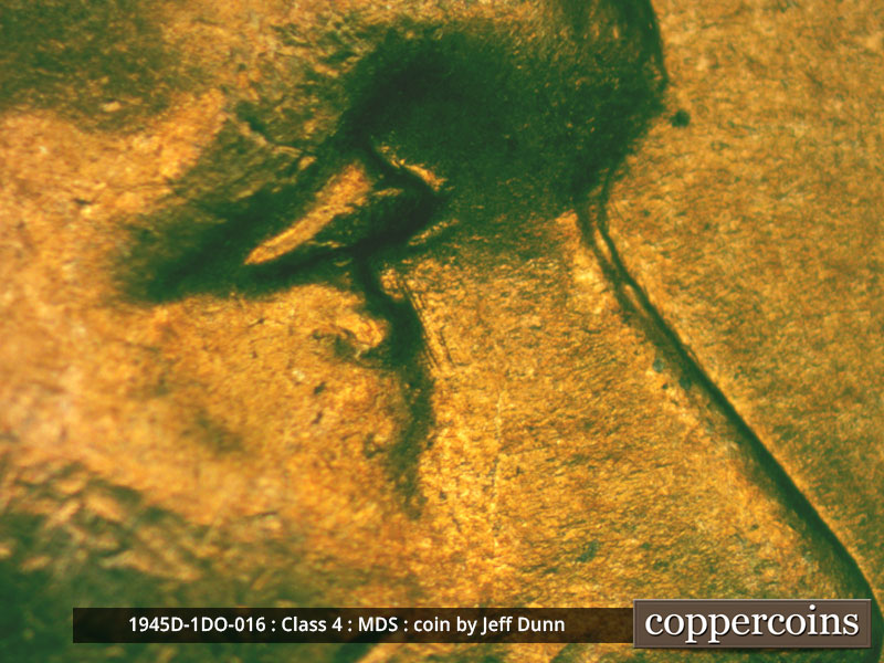 1945 Lincoln cent obverse, CopperCoins die 1945D•1DO•016.