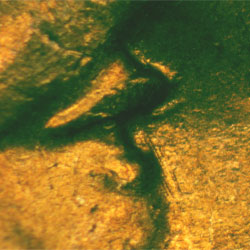 Pre-attribution image for 1945D•1DO•016