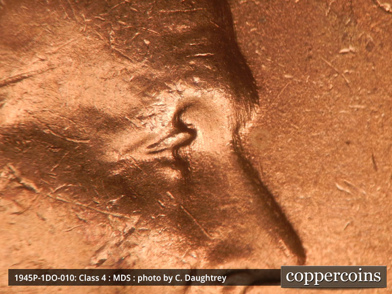 1945 Lincoln cent obverse, CopperCoins die 1945P•1DO•010.