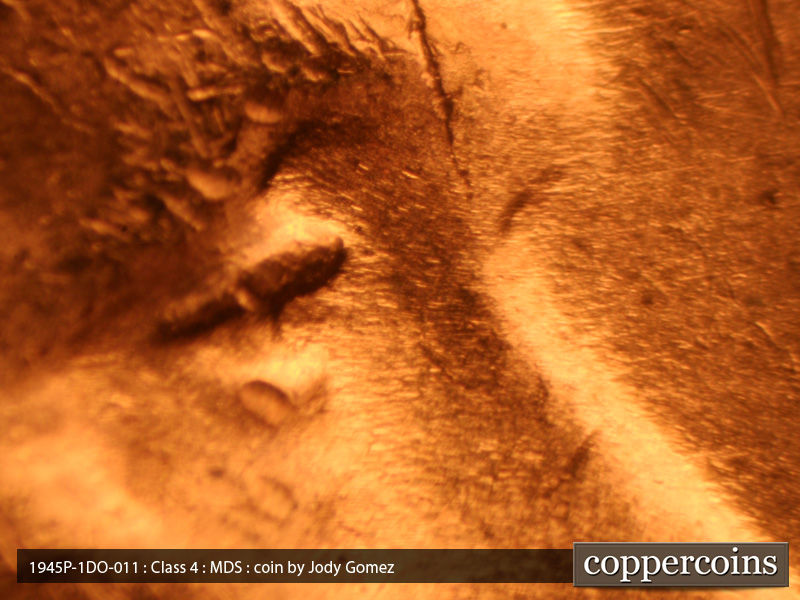 1945 Lincoln cent obverse, CopperCoins die 1945P•1DO•011.