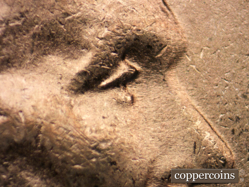 1945 Lincoln cent obverse, CopperCoins die 1945P•1DO•015.