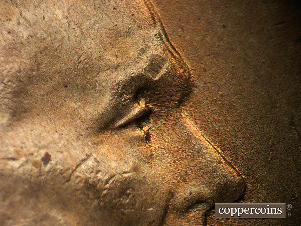 Die-stage B marker on 1945P•1DO•024 showing Closeup of extra eyelids.