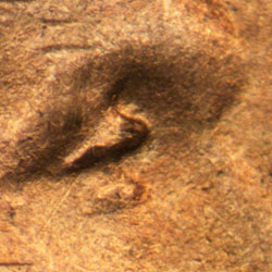 Pre-attribution image for 1945S•1DO•008