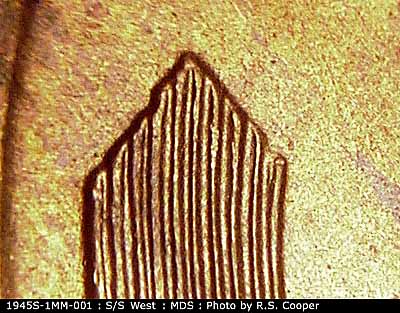 Die-stage B marker on 1945S•1MM•001 (1945 Repunched Mint Mark).