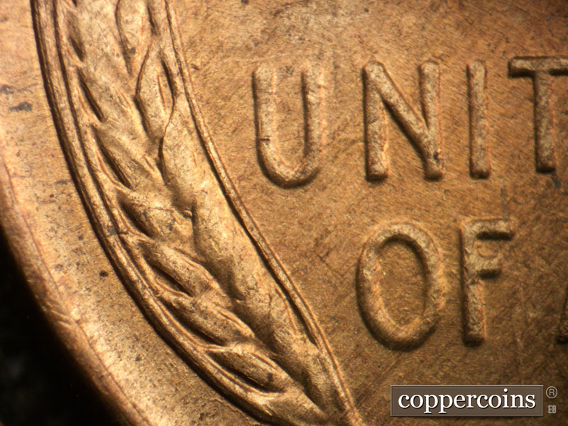 1946 Lincoln cent obverse, CopperCoins die 1946D•1DR•003.